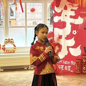 春节庆祝2025 - chinese-new-year-2025-026