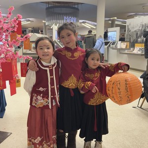 春节庆祝2025 - chinese-new-year-2025-030