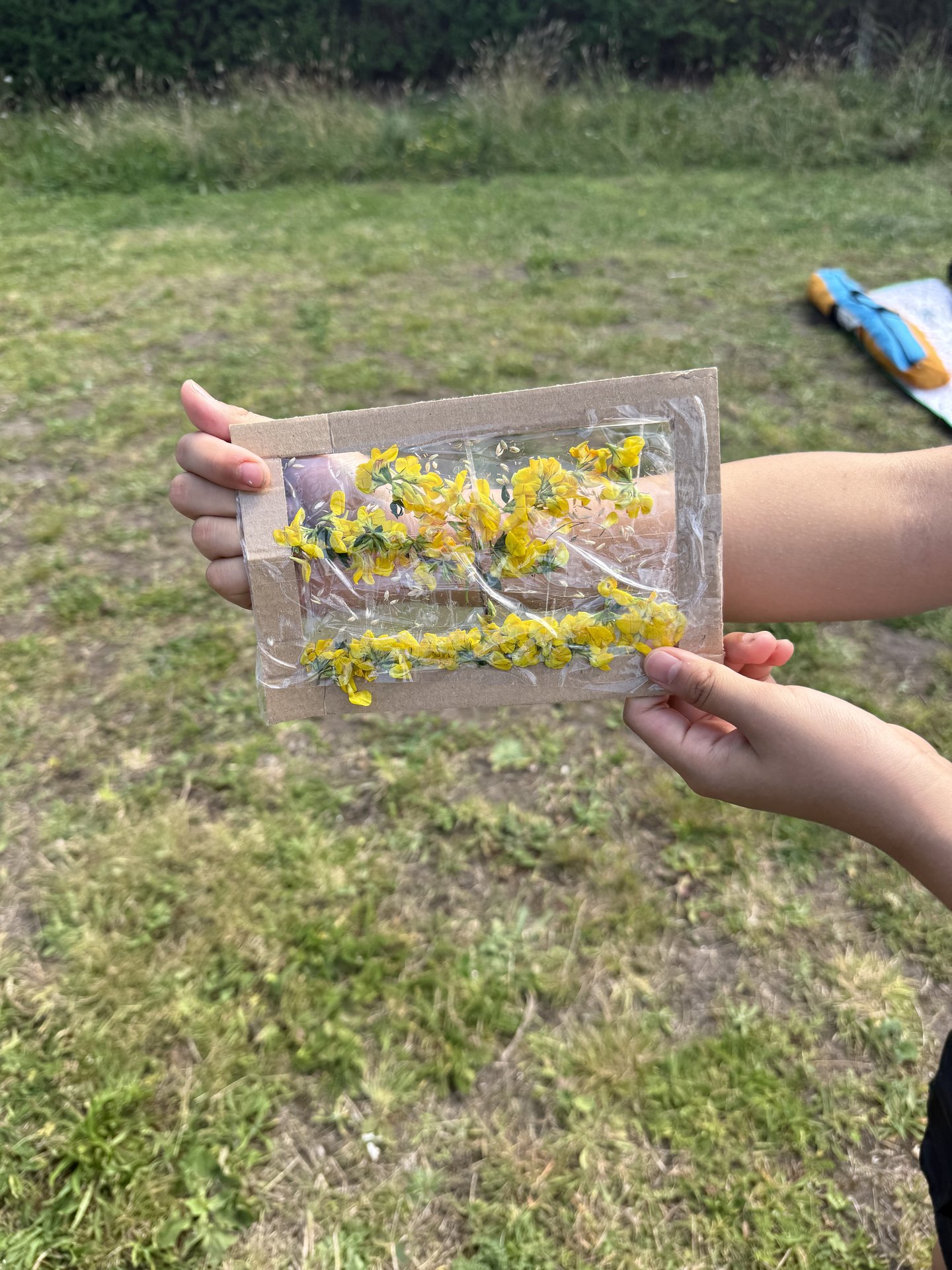 parktastic-20250812-038