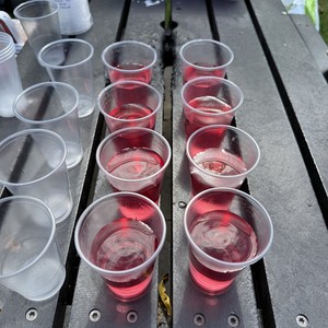 公园活动Parktastic - parktastic-20250812-036