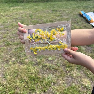 公园活动Parktastic - parktastic-20250812-038