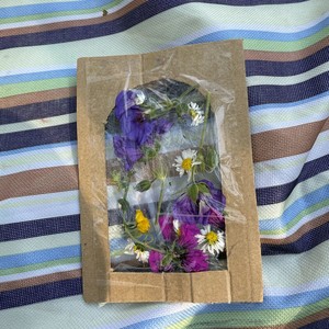 公园活动Parktastic - parktastic-20250813-044