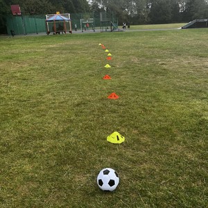 公园活动Parktastic - parktastic-20250814-051