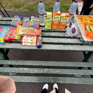 公园活动Parktastic - parktastic-20250819-055